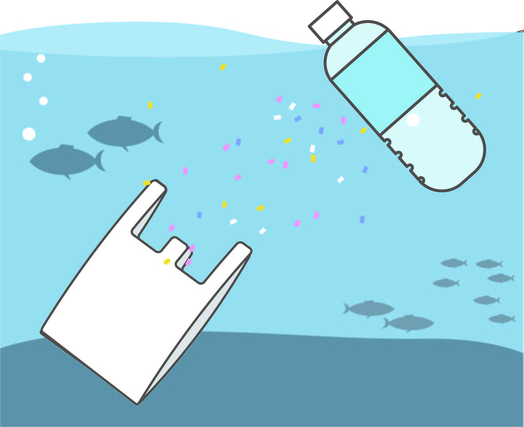 海への散骨のマナーについて